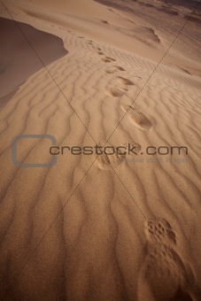 Majestic dune landscape
