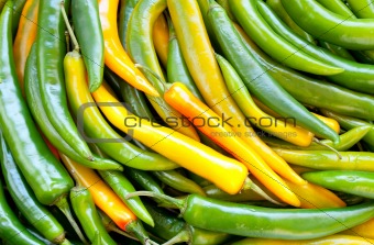 Green pepper chile