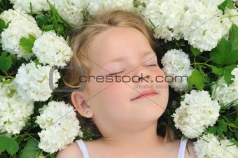 Little girl laying in flowers - snowball