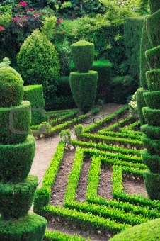 Decorative green park - Botanical garden Funchal, Madeira