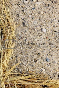 Detail of dry grass hay and sand - frame