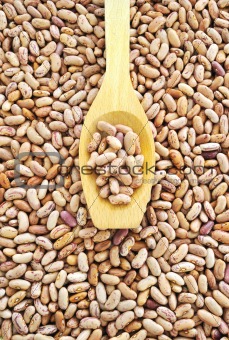 Wooden spoon and dried pinto beans
