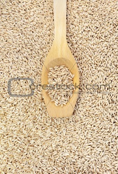 Wooden spoon and dried husked oats