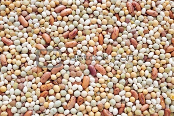 Mixed pulse - lentils, peas, soybeans, beans - background