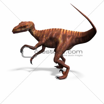 Dinosaur Deinonychus