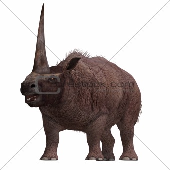 Dinosaur Elasmotherium