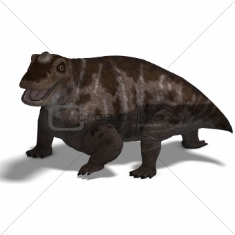 Dinosaur Keratocephalus