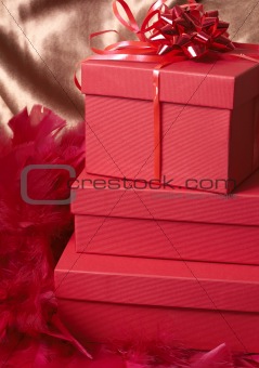 Red gift boxes with feathers and a bow
