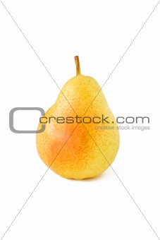 Ripe single yellow pear