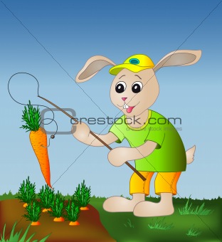 Rabbit fishing carrot