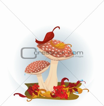 Red Mushrooms 