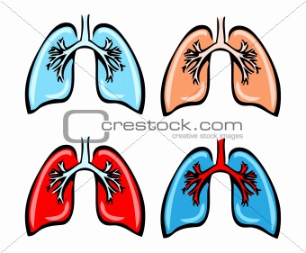 Lung Anatomy, bronchi, human medical illustration, 4 emblem, sch
