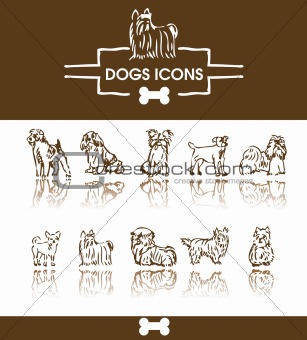 dogs icon