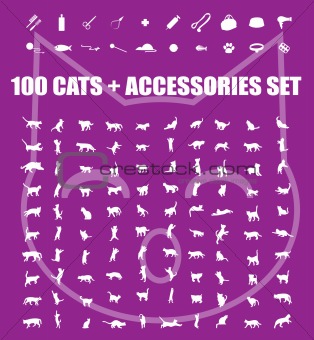 Great 100 cats and accessories icons set, vector pet emblem, cat