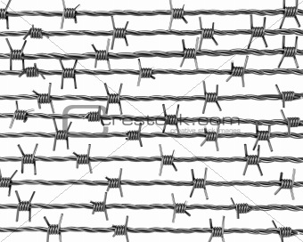 Lines of barbed wire
