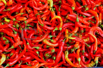 Hot chilli peppers on a market stall