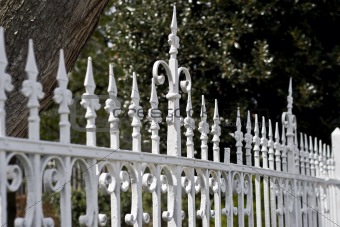 Old white fence