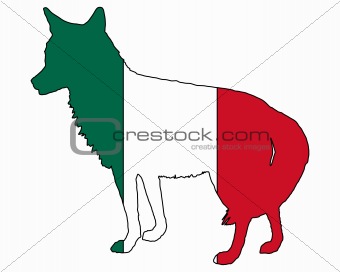 Coyote Mexico