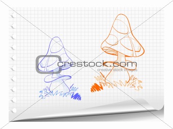 Sketchy illustration of mushrooms