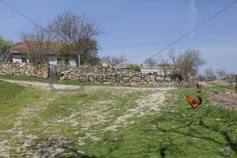 rural yard