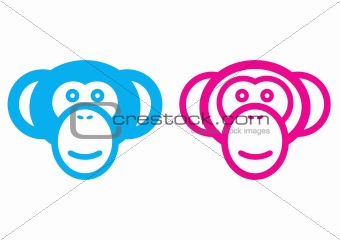 Male and female monkey