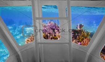 Tropical reef view from underwater submarine