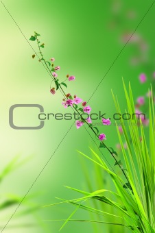 pink floral and fresh grass
