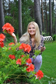 Pretty gardener woman with red flower bush and gardening tools