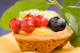 Pastires with blueberries and currants
