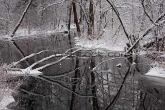 Snowy riparian forest over river