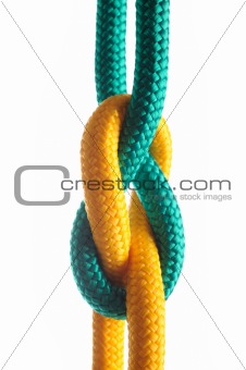 Rope with marine knot on white background. series of photos