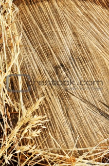 Detail of wooden cut texture and dry grass hay - frame