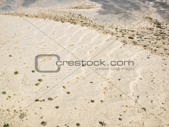 California desert.