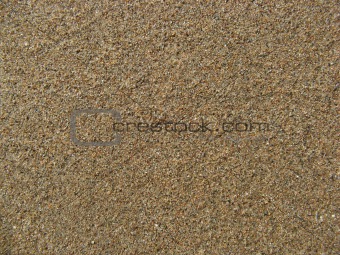 wet sand texture