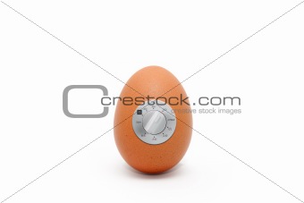 Electric egg