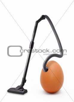 Vacuum egg