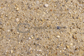 Detail of sand texture with small stones - background