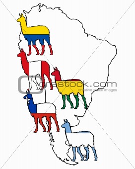 Lama South America