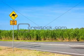Kangaroo road warning sign