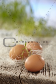 three brown eggs