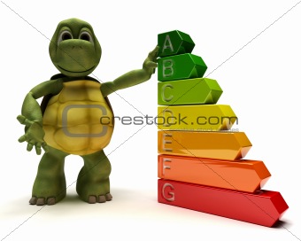 Tortoise with energy ratings