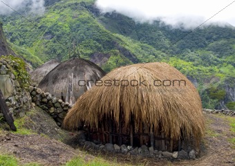  traditional village in Papua