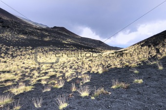 Grass at the foot of the volcano