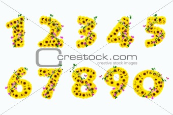 sunflower numbers 0 - 9 isolated on white background