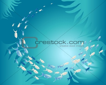 underwater shoal of fish