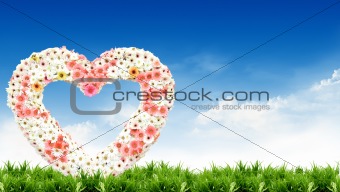 Flower, heart, and the sky bright
