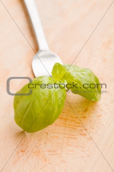 Fork with basil leaves