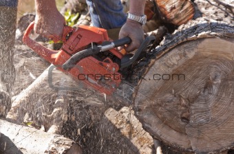 Man cutting wood with a chainsaw