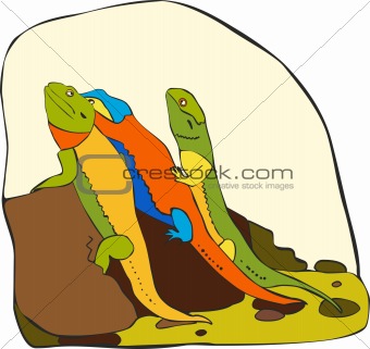 Three multi-coloured lizards sit on a stone