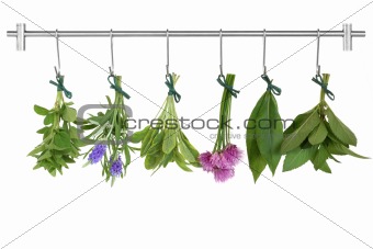 Drying Herb Bunches  